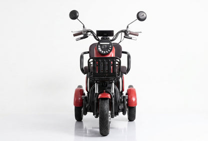 Triciclo Confort 1000W – Vista frontal